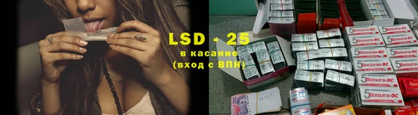 тгк Алзамай