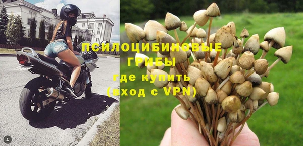 ПСИЛОЦИБИНОВЫЕ ГРИБЫ Алексеевка