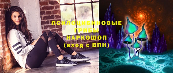 тгк Алзамай